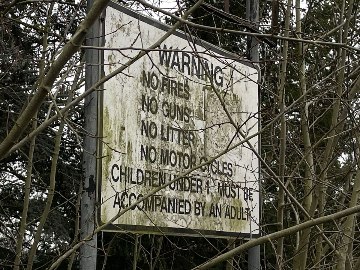 Signs 3
